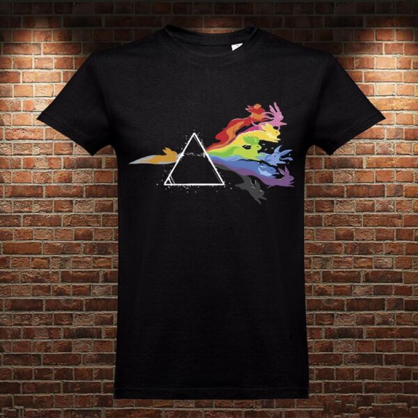 CM0399 Camiseta Pink Floyd Eevee