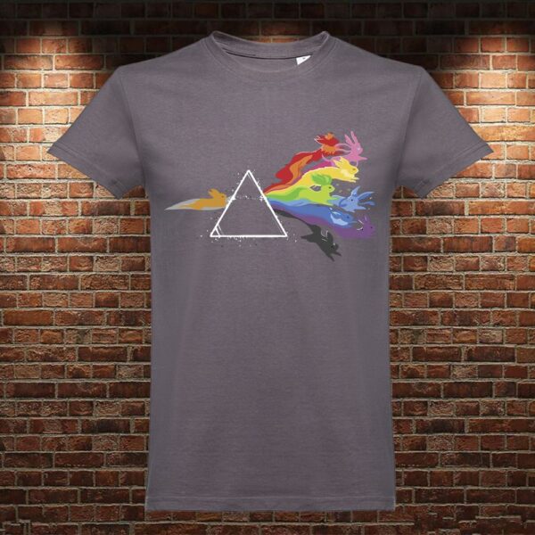 CM0404 Camiseta Pink Floyd Eevee