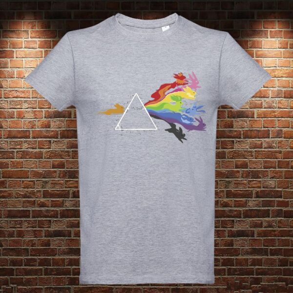 CM0405 Camiseta Pink Floyd Eevee