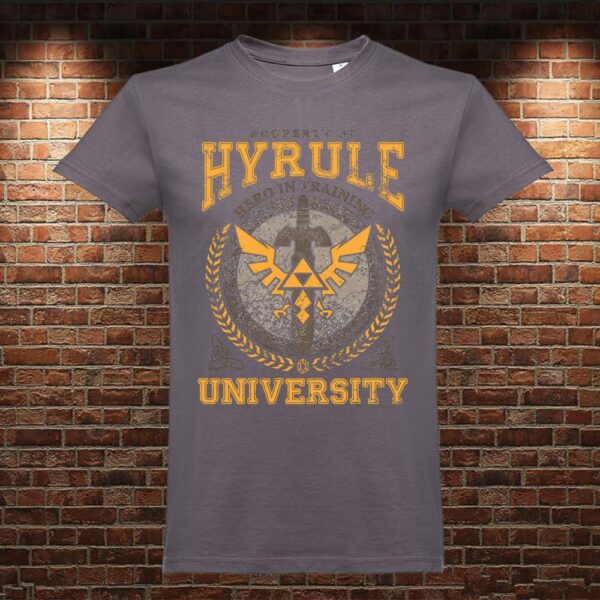 CM0647 Camiseta Hyrule University