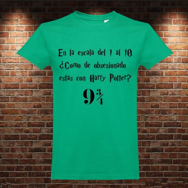 CM0777 Camiseta Escala Harry Potter
