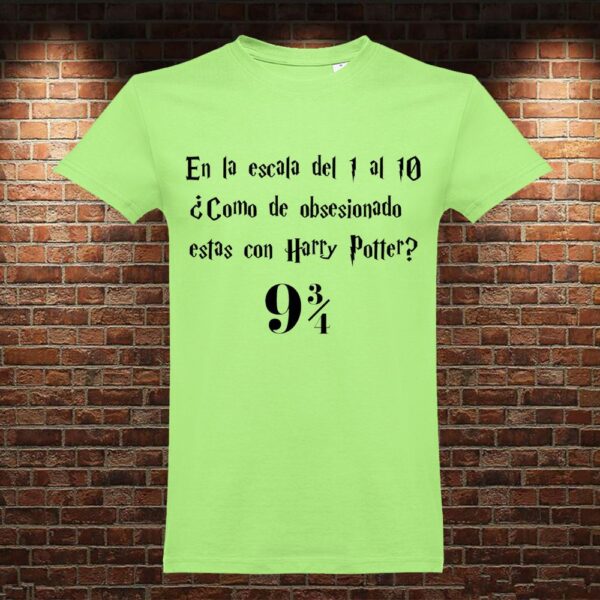 CM0778 Camiseta Escala Harry Potter