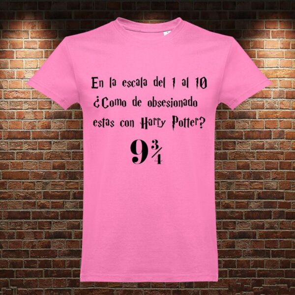 CM0779 Camiseta Escala Harry Potter