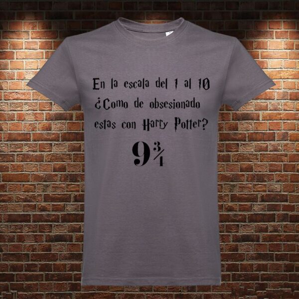 CM0781 Camiseta Escala Harry Potter