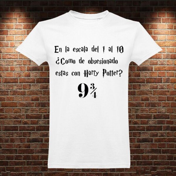 CM0783 Camiseta Escala Harry Potter