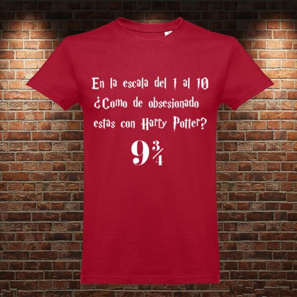 CM0784 Camiseta Escala Harry Potter