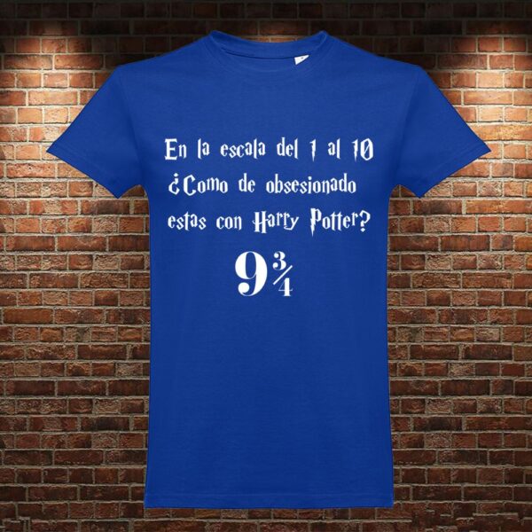 CM0785 Camiseta Escala Harry Potter