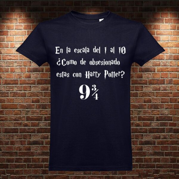 CM0786 Camiseta Escala Harry Potter