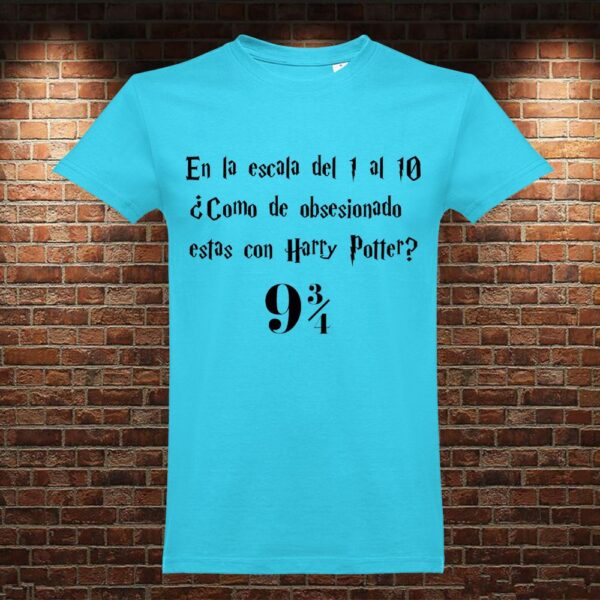 CM0788 Camiseta Escala Harry Potter