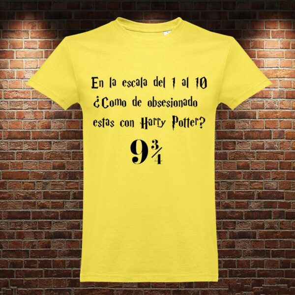 CM0790 Camiseta Escala Harry Potter