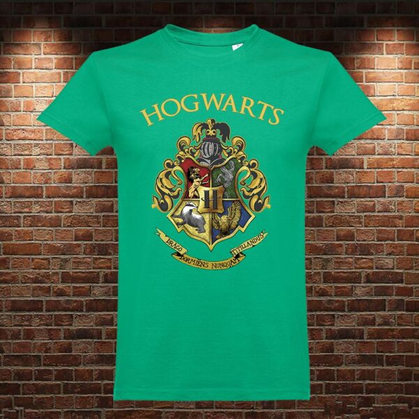 CM0900 Camiseta Hogwarts Harry Potter