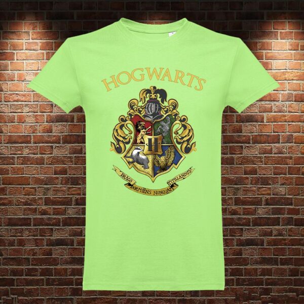 CM0901 Camiseta Hogwarts Harry Potter