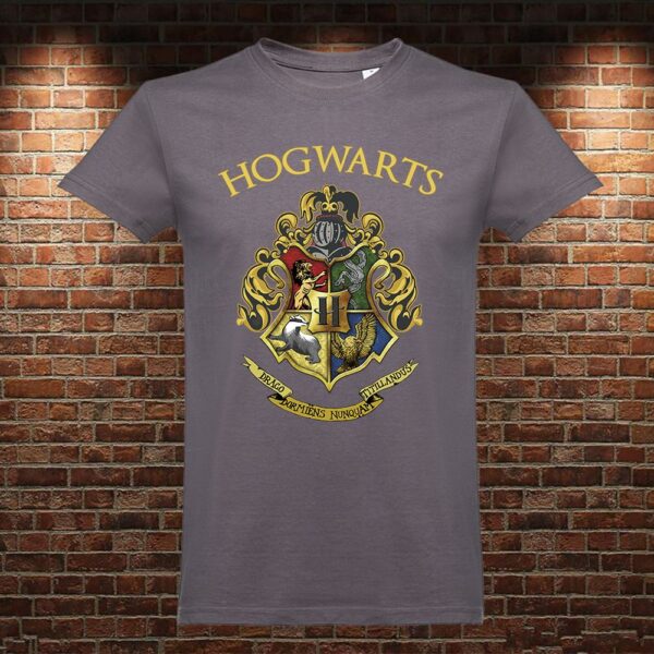 CM0904 Camiseta Hogwarts Harry Potter