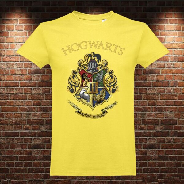 CM0913 Camiseta Hogwarts Harry Potter