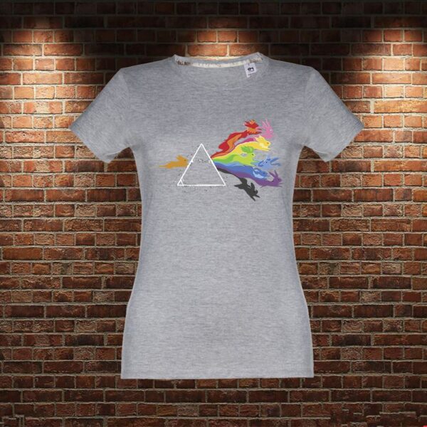CMM0295 Camiseta Pink Floyd Eevee