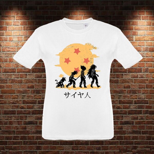 CMN0067 Camiseta niño Dragon Ball Goku Evolución