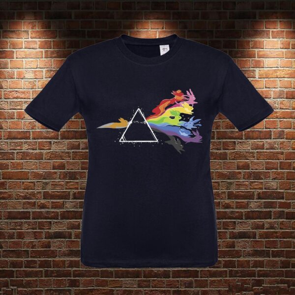 CMN0232 Camiseta niño Pink Floyd Eevee