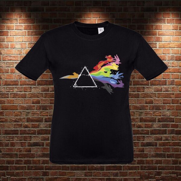 CMN0236 Camiseta niño Pink Floyd Eevee