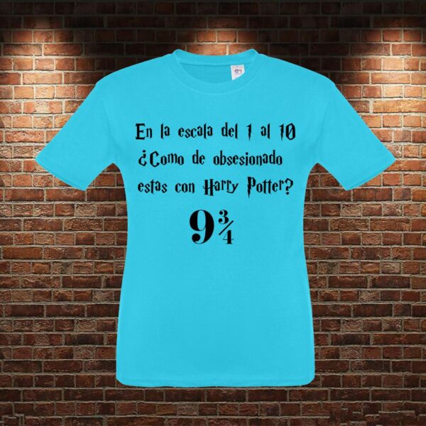 CMN0449 Camiseta niño Escala Harry Potter