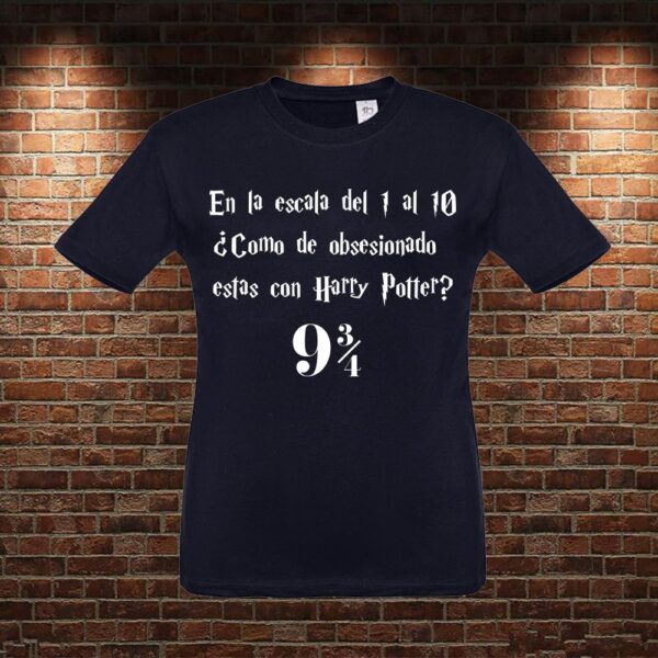 CMN0450 Camiseta niño Escala Harry Potter