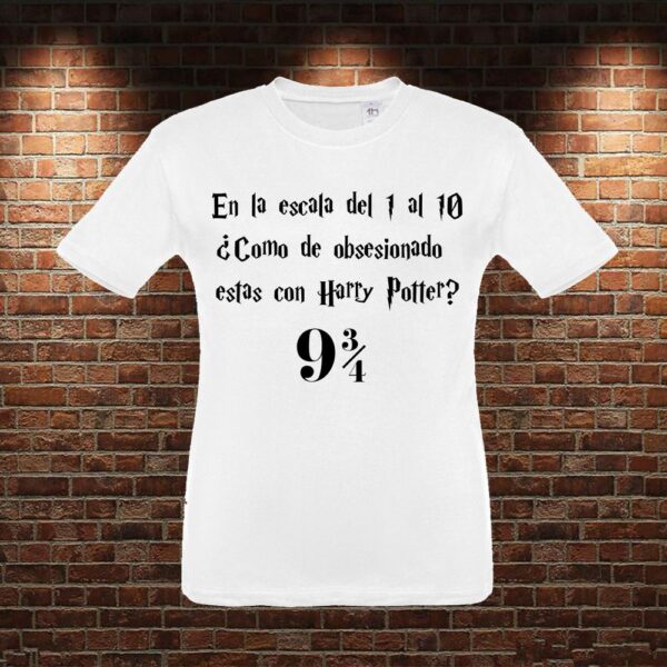 CMN0451 Camiseta niño Escala Harry Potter
