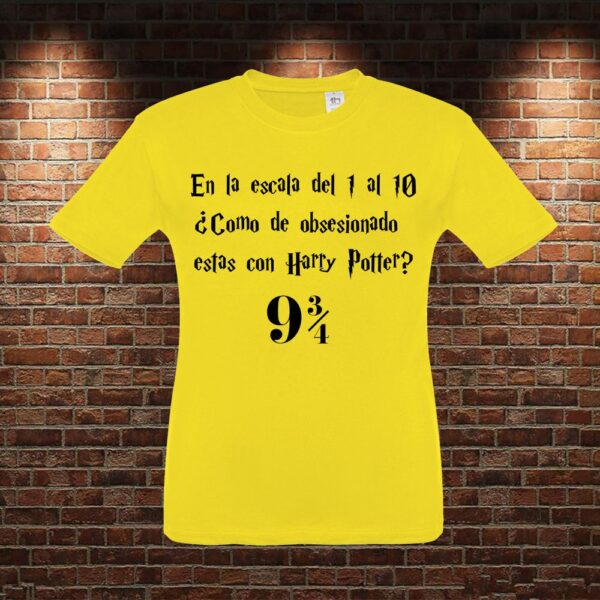 CMN0452 Camiseta niño Escala Harry Potter