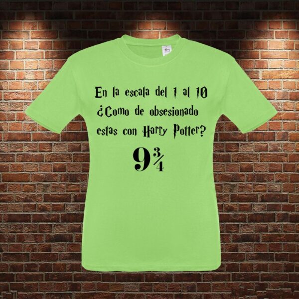 CMN0454 Camiseta niño Escala Harry Potter