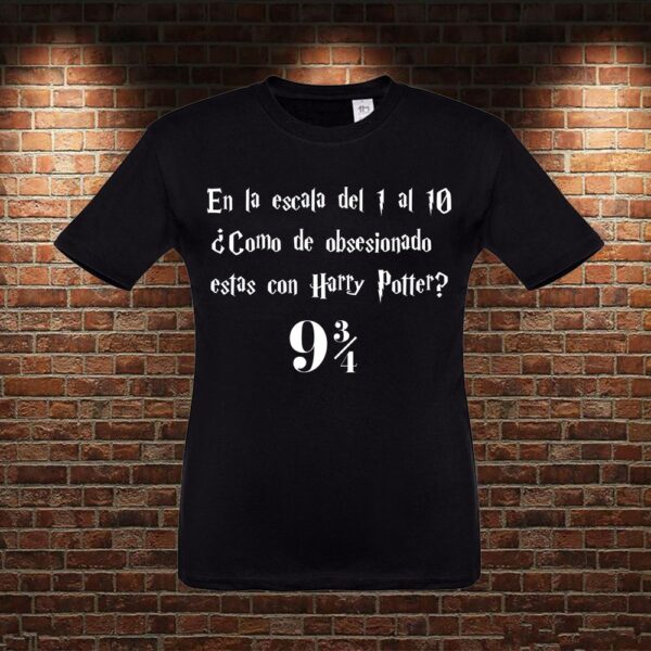 CMN0455 Camiseta niño Escala Harry Potter