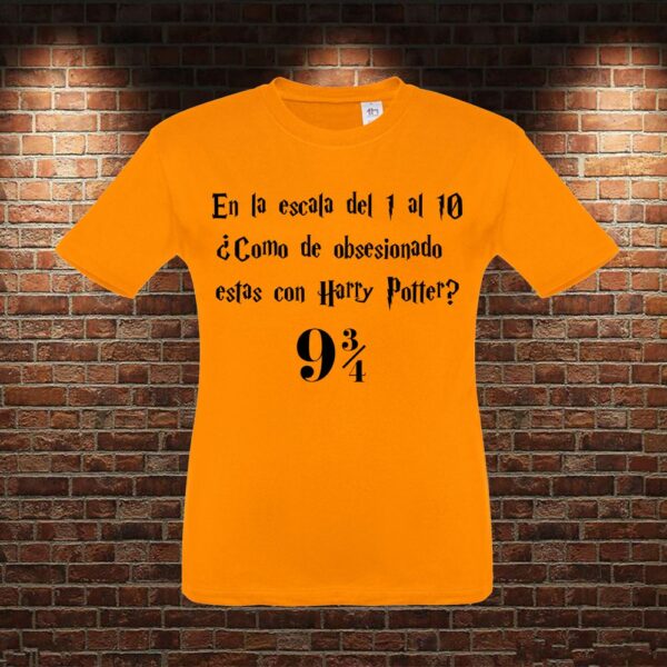 CMN0456 Camiseta niño Escala Harry Potter