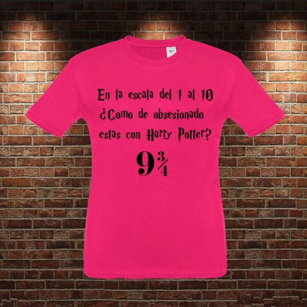 CMN0457 Camiseta niño Escala Harry Potter