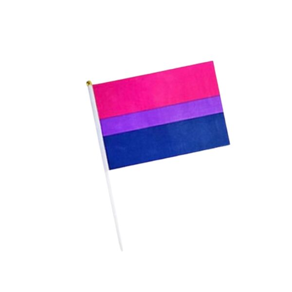 38 Bandera bisexual